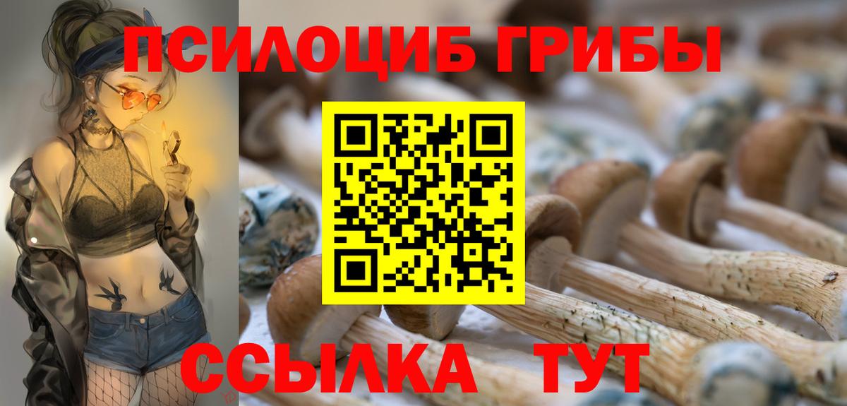 где найти наркотики  Вход с VPN  Псилоцибиновые грибы мицелий  Североуральск  Псилоцибиновые грибы прущие грибы 